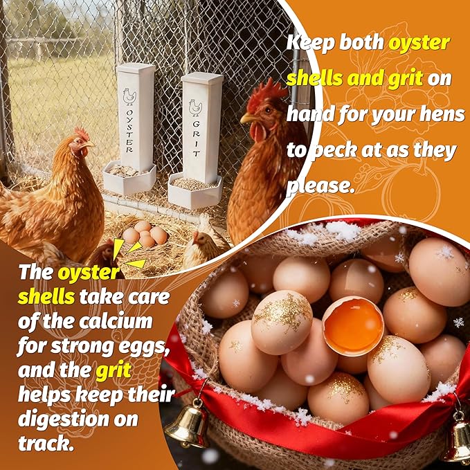 Chicken Grit and Oyster Shell Feeder, 2 Pack Hanging Wall Mount Chicken Feeder Combo, Waterproof ABS Automatic Gravity Poultry Feeder with Lid Rounded Edges, Coop Accessories for Healthier Hens & Eggs