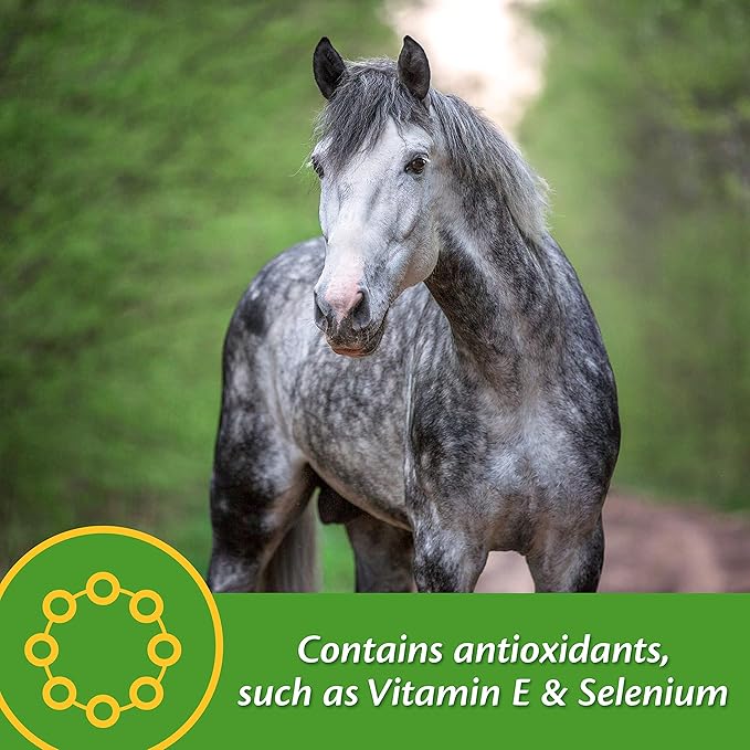 Farnam Vita Plus Balanced Multi-Vitamin & Mineral horse Supplement, Provides balanced nutrition to support overall health and performance, 7.5 pounds, 60 day supply