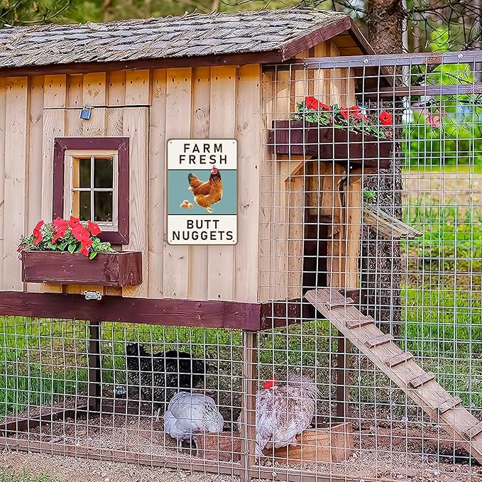 Dillweed Chicken Coop Sign, Funny Chicken Coop Metal Signs, Outdoor Chicken Decor, Personalized Tin Sign, Chicken Gifts, Chicken House Decor 8 x12 Inches