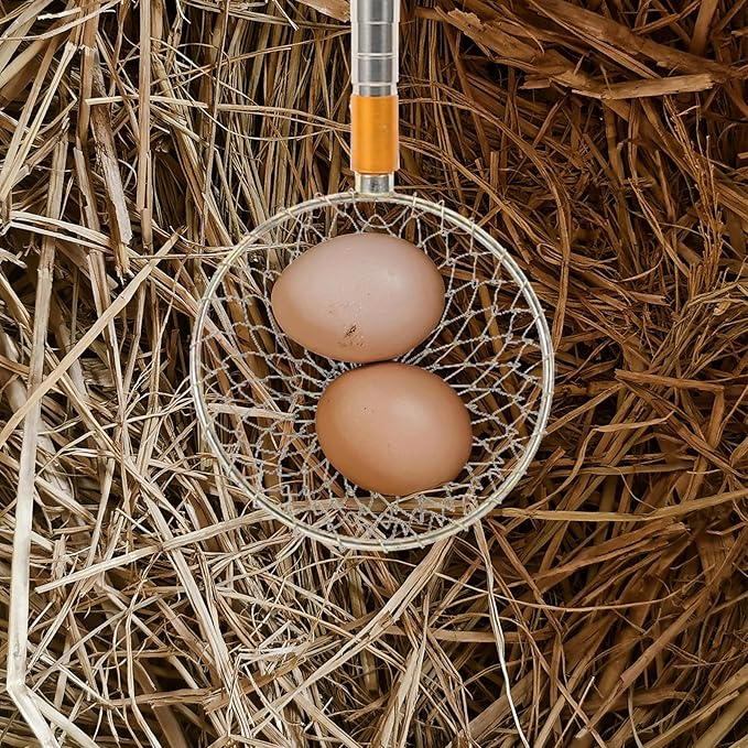 Egg Grabber for Chicken Coop: Extendable Peanut Picker - Stainless Steel Long Handle Picking Tool Reacher Separator for Quail Poultry Nest Farm Potato Pecans