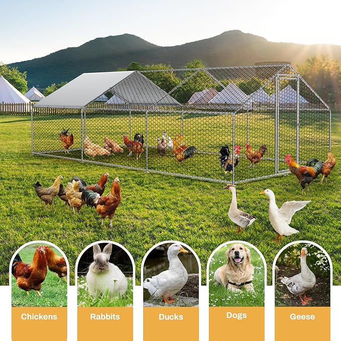 ROOMTEC Chicken Coop Large Metal Chicken Run for 20-30 Chickens,Dog Kennel Outdoor with Waterproof and Anti-UV Cover Lockable Door Design(9.8'Lx19.6'Wx6.4'H)