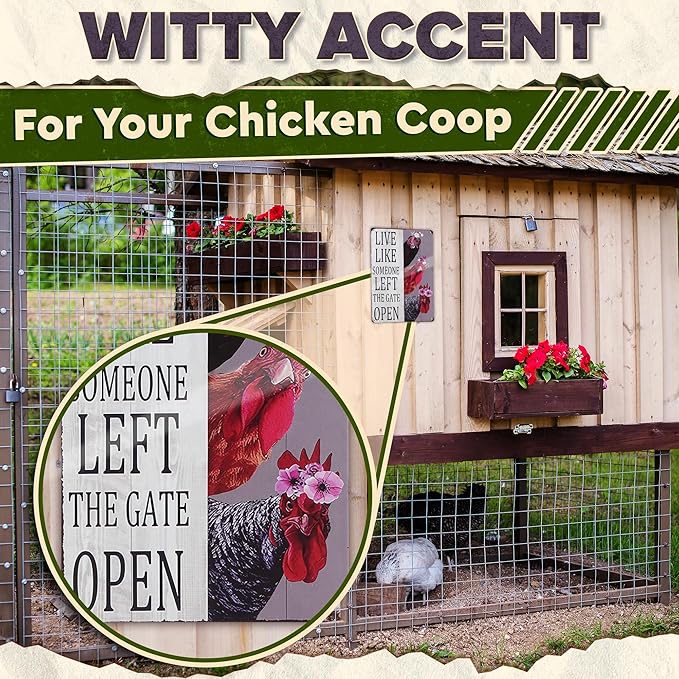 Metal Funny Chicken Coop Signs for Outside 8x12 inch - Live Like Someone Left The Gate Open Sign – Rustic Tin Farmhouse Wall Art and Vintage Chicken Decor for Kitchen, Porch, Barn, Backyard, or Garden