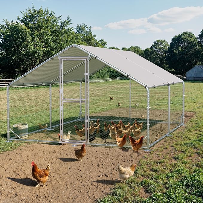 Metal Chicken Coop, Chicken Runs for Yard with Cover, Walk-in Chicken Run, Outdoor Chicken Pen, Heavy-Duty Galvanized Frame with Roosting Ladder,10x13x6.5FT