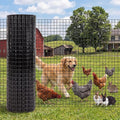 Chicken Wire Fencing 1/2 Inch 48in x 100ft Galvanized Welded Wire Mesh Roll, Chicken Wire Fence for Poultry Rabbit Snake Gopher Cage, Garden Plant Fencing & Animal Netting - Black