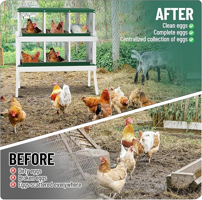 Metal Chicken Nesting Box, 6 Compartments, Rollout Egg Collection, Large Vented Holes, Perch Included, Wall Mount or Free Standing Laying Box for Hens and Chickens - Green with Legs