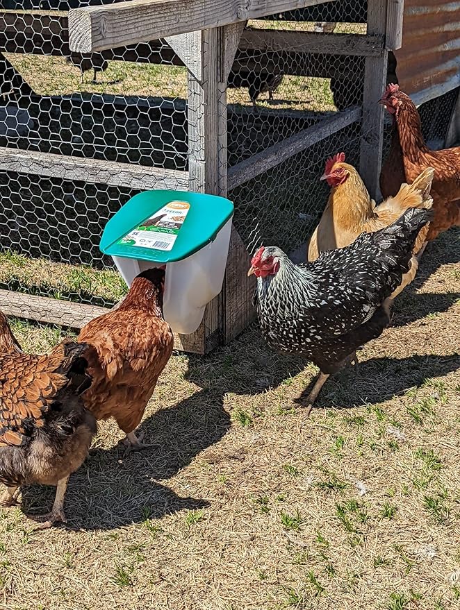 My Favorite Chicken VFeedr No Waste Hanging Poultry Feeder 5-lbs