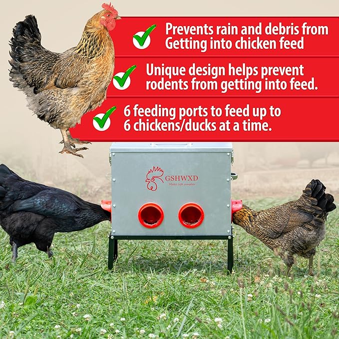 Automatic Chicken Feeder - 40 lb Capacity 6 Port Large Metal Chicken Feeders - with Locking Lid and Legs