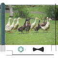Non Electric Fence Netting 40" x164', Boundary Fence with Double Spiked Posts, Portable Poultry Fence All-Purpose Fencing for Dogs, Chickens, Ducks, Turkeys Suitable in Backyard, Garden, Farm