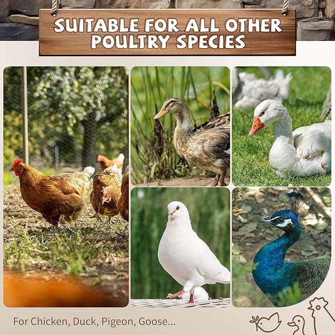Large Chicken Roosting Bars with Swing (74.4"), Sturdy Metal Chicken Perch for Coop, Heavy Duty Jungle Gym Ladder for Hens, Entertainment Accessories & Toys for Backyard Poultry, Easy to Clean