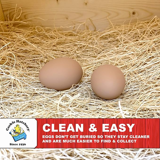Cackle Hatchery Laying Hen Nest Box Pads Made in USA from Sustainable Aspen Exceslior - 13x13 Nesting Box Liners (10 Pack)