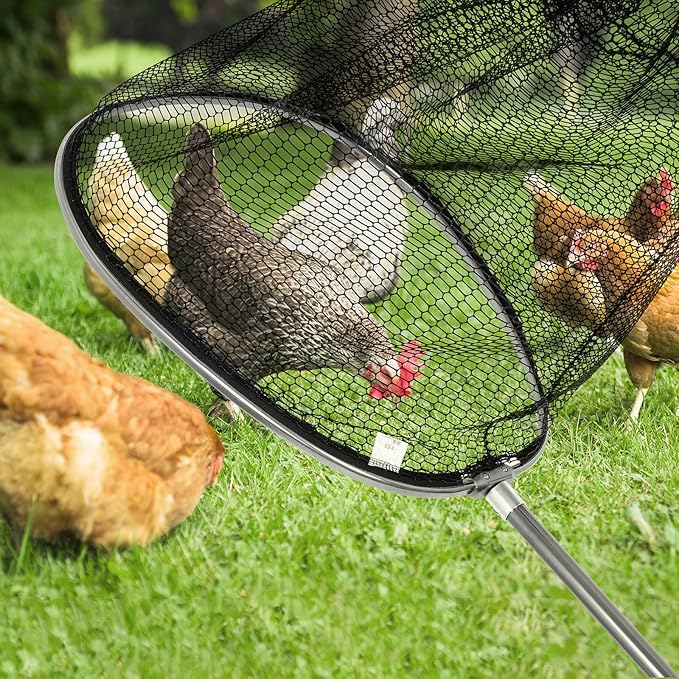 Catch Net Big Animal Control Catcher with 21" Net Opening Chicken Leg Hook with Telescopic Handle 37.4''-93.3'' for Duck, Goose Fish Cat Bird Pigeon Raccoonand and Others