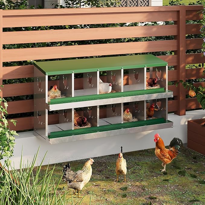 10-Compartment Metal Chicken Nesting Box - with Perch, Secure Lid & Metal Legs, Wall-Mount or Free-Standing Nesting Boxes for Hens