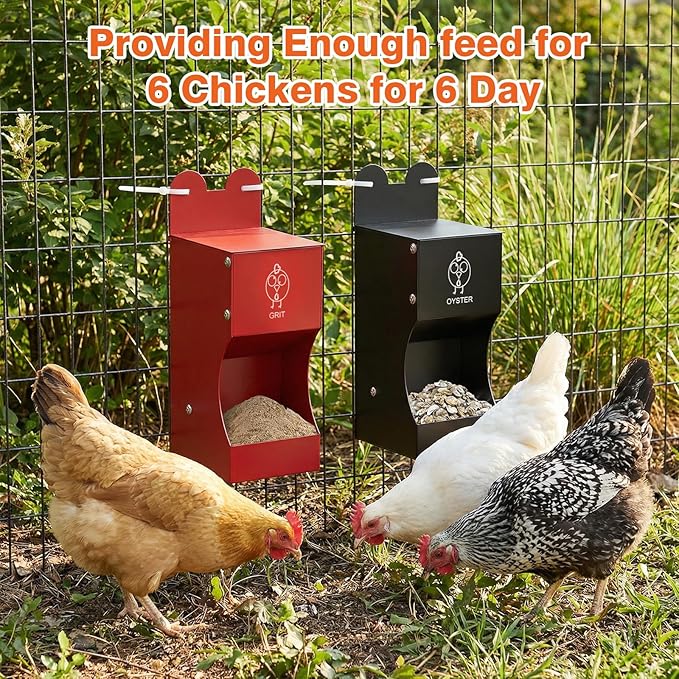 2Pack Chicken Grit Feeder, Metal Oyster Shell Feeder with Weatherproof Lid and Drain Holes, Hanging Gravity Chicken Grit Feeder, Coop Accessories for Hens and Chicks