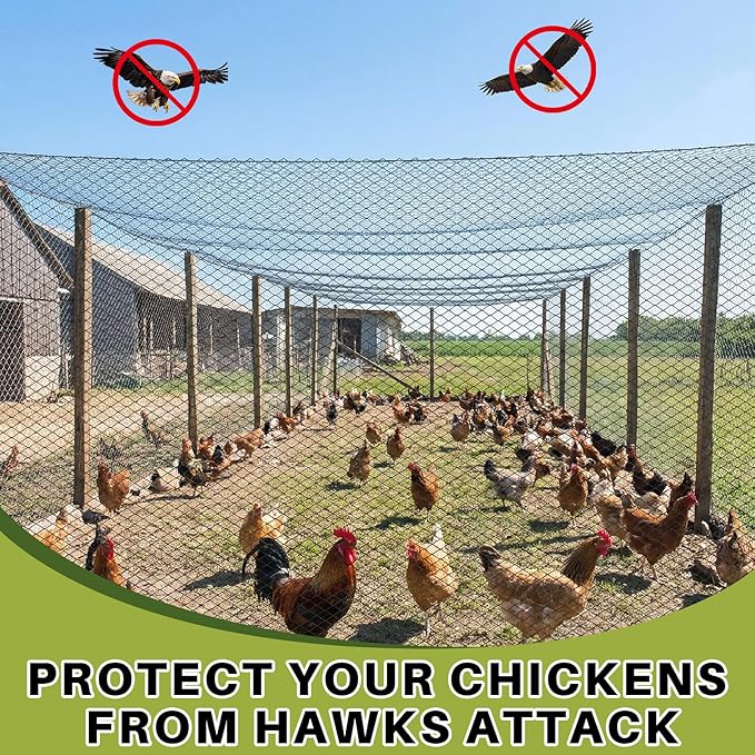 25 x 25 ft Aviary Bird Netting Chicken Netting Commercial Grade Heavy Duty Knotted 1 inch Mesh for Chicken Coops Poultry Blueberries Fruit Trees Net Aviary Gamefowl Garden