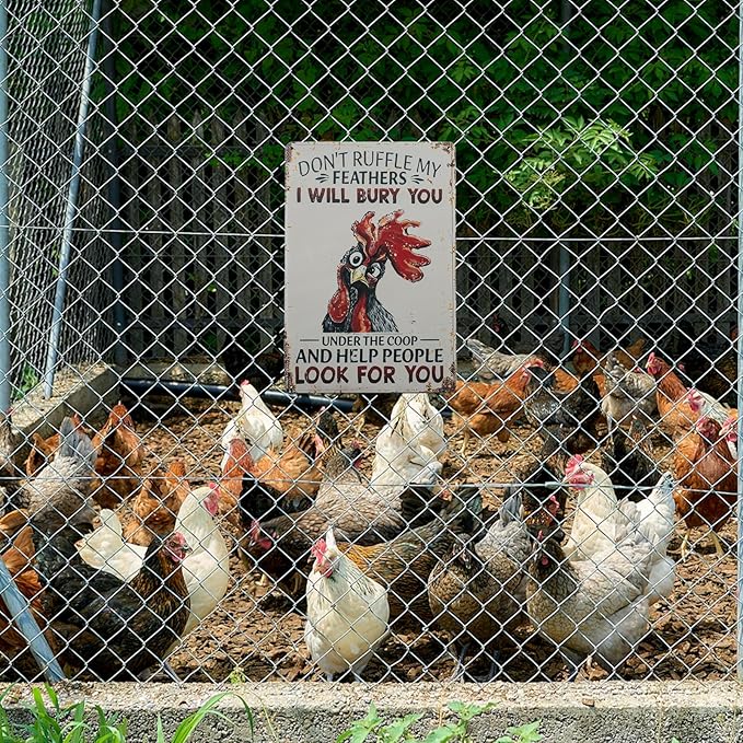 Funny Tin Signs Chicken Coop Decor Outdoor Vintage Rooster Gifts Yard-signs Decorative Signage For Farm and Garden 8×12 inches (G)