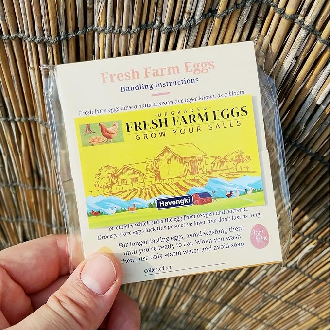 100 Pack Premium Fresh Farm Eggs Handling Instructions Care Accessories Cards Labels | Egg Blank Cartons 4 6 12 15 18 30 48 50 Count Basket Box Container Storing Extra Organizer -M06CH100