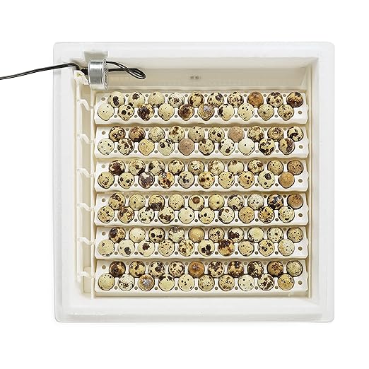 Farm Innovators 3400 Replacement Tray Rail for 120 Quail and Small Eggs (6 Pack) with 2450 Digital Circulated Air Incubator & Auto Egg Turner, White