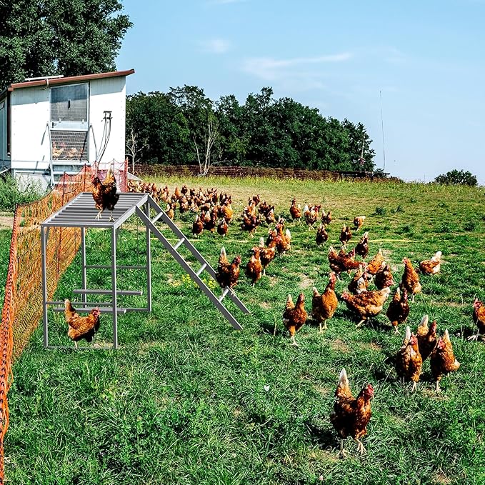 Chicken Perch with Swing Set, Roosting Bars for Chickens in Coop for Pet Chickens' Health and Happiness, Metal Chicken Toys Accessories for Backyard Farms, Light Gray