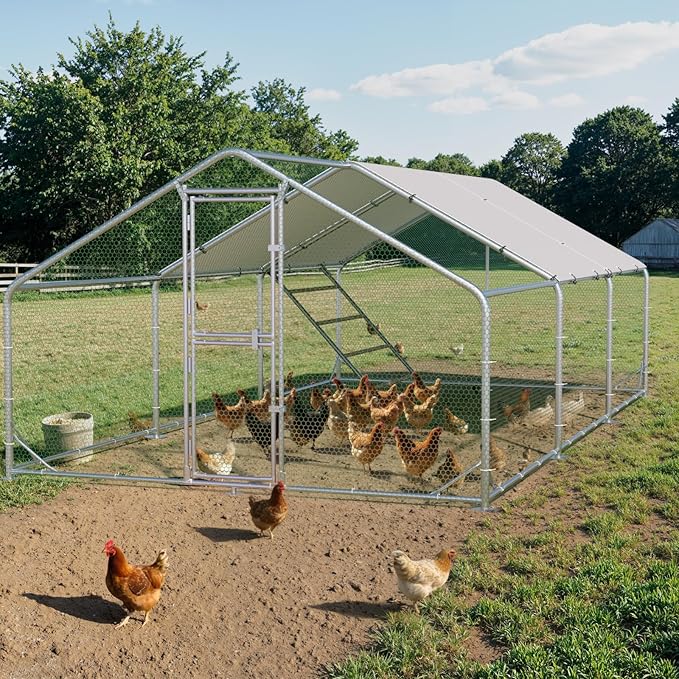 Large Metal Chicken Coop, Chicken Runs for Yard with Cover, Walk-in Chicken Run, Outdoor Chicken Pen, Heavy-Duty Galvanized Frame with Roosting Ladder,10x20x6.5FT