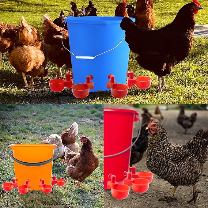 Pack 6 Chicken Waterer Cups,Chicken Feeder Cup for Chicken Duck Turkey Rabbit,3/8 Inch Thread Automatic Filling,Solution for Poultry Watering