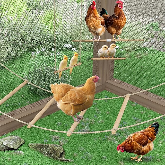 Chicken Toys for Coop, Chicken Perch for Coop, Chick Swing, Chain Chick Ladder, Chick Roosting Bars, Easy to Install