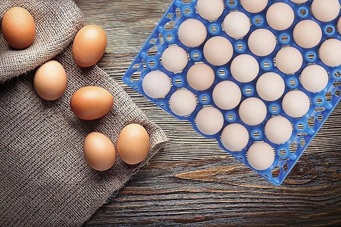 10Pcs Plastic Egg Tray 30-Cell Egg Flats Egg Crates, Stackable Egg Cartons Flats for Egg Packing, Storage, Shipping Fresh Eggs