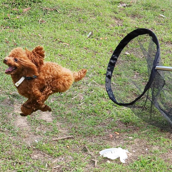 Catch net Small Animal Control net with Stainless Steel Splicing Handle Pole for Small Dogs Feral Cats Rabbits Chickens, Ducks Geese Fish Raccoons Poultry catching Wildlife nets
