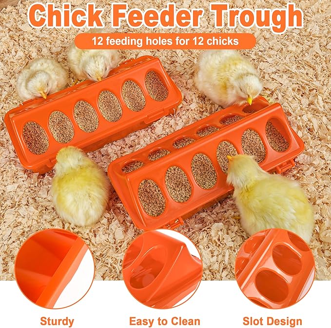 Plastic Baby Chicken Feeder and Waterer Set (Orange)