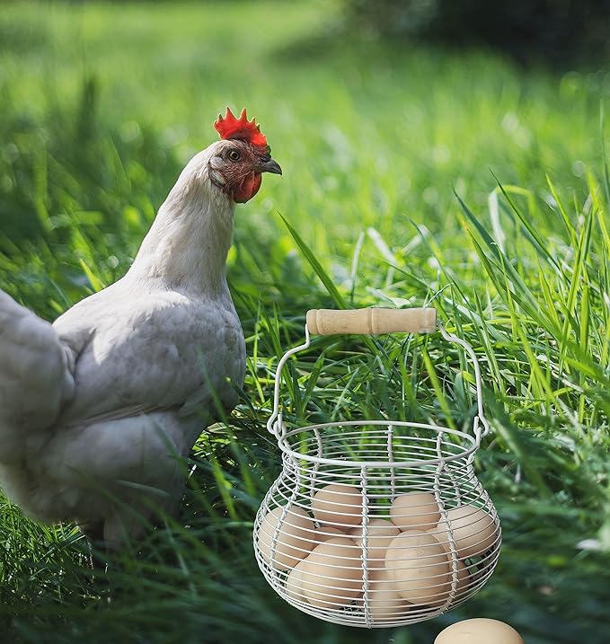LINCOUNTRY.Chicken Egg Basket for collecting Eggs,Farmhouse Wire Egg Basket for Gathering Fresh Eggs with Handle Vintage Cream Metal Basket for Countertop Kitchen Storage