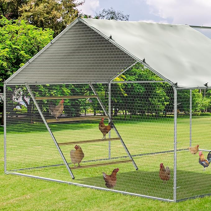Chicken Coop Roosting Perch,Perfect for Backyard Poultry,Chicken Perch Essentials,Easy to Assemble&Clean,Farm Chicken Toys (56" L x 41.5" W)