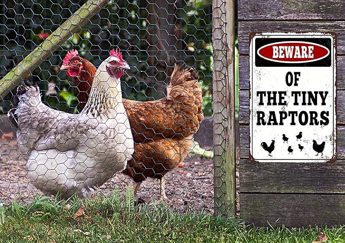 Beware of The Tiny Raptors Vintage Metal Sign, Chicken Art 7.8"11.8" Inches, Chicken Coop Farm Decor with Pre-Drilled Holes