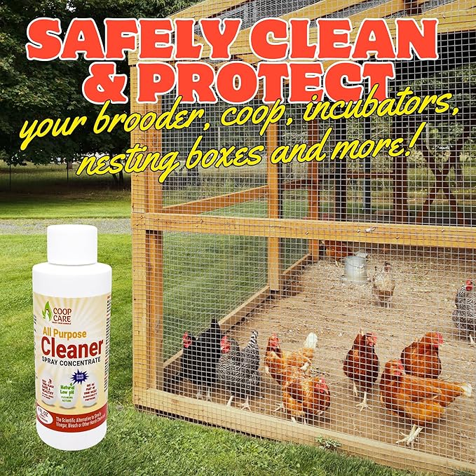 Chicken's Choice Chicken Dust Bath, 6 lb Natural Volcanic Ash Dust Bath for Chickens. Dust Mix for Healthy Chickens, Chinchillas, Small Animals. Made in The USA w/ 4 oz Coop Cleaner (Makes 32 oz)