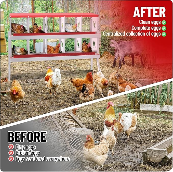 TrailBlaze 10 Compartment Chicken Nesting Box with Metal Legs, Chicken Egg Laying Boxes with Rollout Egg Collection, Large Vented Holes Chicken Coop for Chickens, Hens (Red)