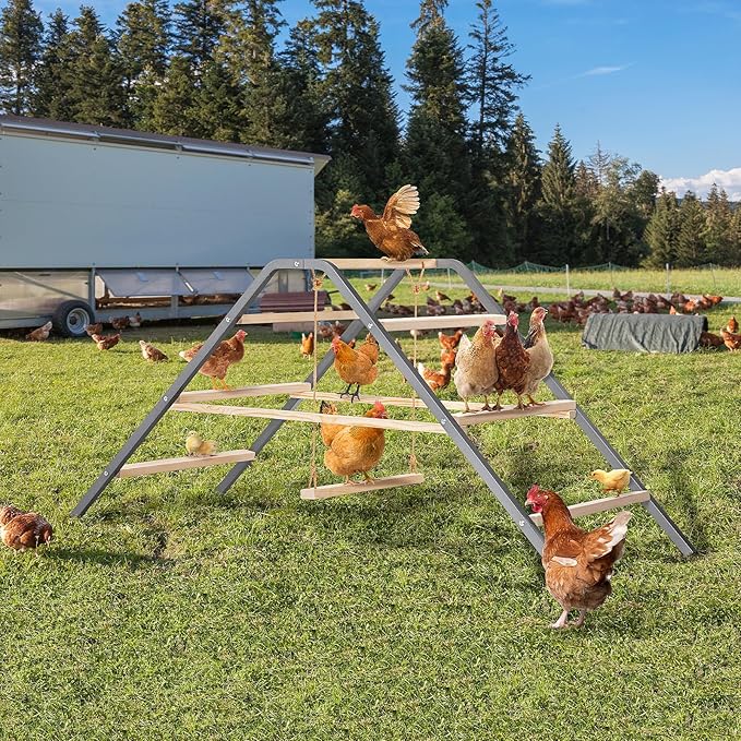 PETSFIT Chicken Roosting Bar-Solid Wood and Rustproof Iron Design, Chicken Perch with Swing for Healthy Poultry-Ideal for Backyard Coops, Farms, Easy to Assemble and Clean