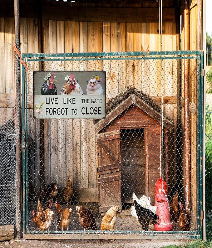 Vintage Chicken Wall Sign – 8x12” Farmhouse Rooster Decor with “LIVE LIKE THE GATE FORGOT TO CLOSE” Quote – Rustic Waterproof Metal Plaque for Kitchen, Porch, Coop, Chicken Mom Gift-B