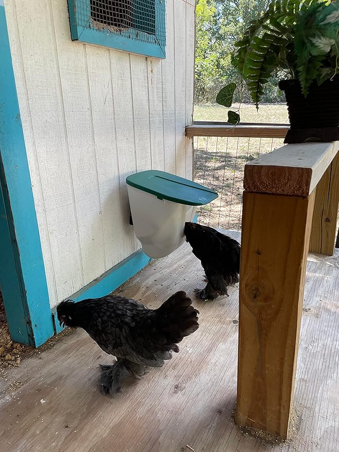 My Favorite Chicken VFeedr No Waste Hanging Poultry Feeder 5-lbs