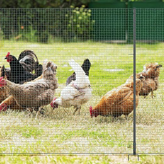Non Electric Fence Netting 40" x100', Boundary Fence with Double Spiked Posts, Portable Poultry Fence All-Purpose Fencing for Dogs, Chickens, Ducks, Turkeys Suitable in Backyard, Garden, Farm