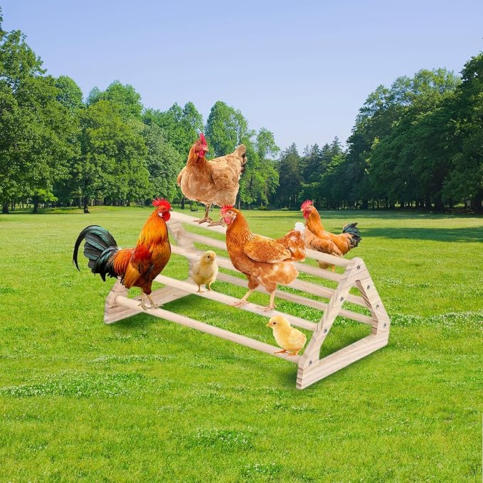 Roosting Bars for Chickens in Coop - Chicken Perches Roostys, Wooden Roosting Bars for Hens, Large Jungle Gym Stand for Curious Birds, Parrot Perch for Indoor & Outdoor Use (3 Set)