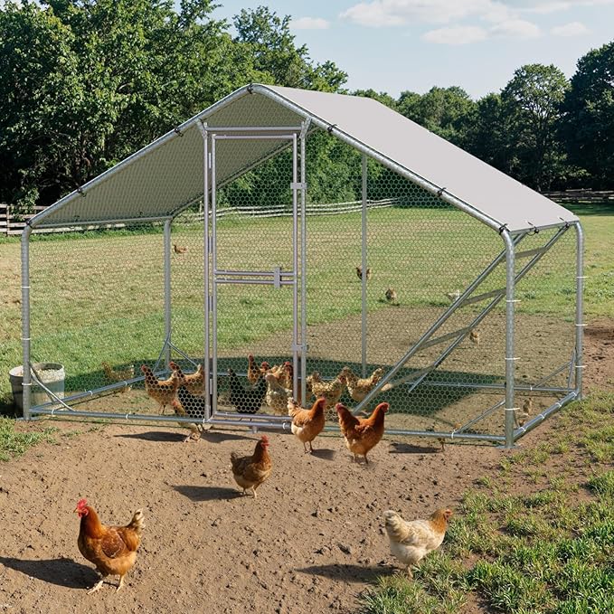 Large Metal Chicken Coop, Chicken Runs for Yard with Cover, Walk-in Chicken Run, Outdoor Chicken Pen, Heavy-Duty Galvanized Frame with Roosting Ladder,10x6.5x6.5FT