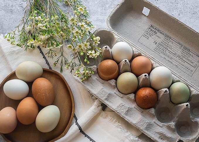 Blank 12-Egg Flat Top Paper Pulp Egg Carton with Nutrition Facts, Safe Handling Info, Optional UPC - 50 Pack