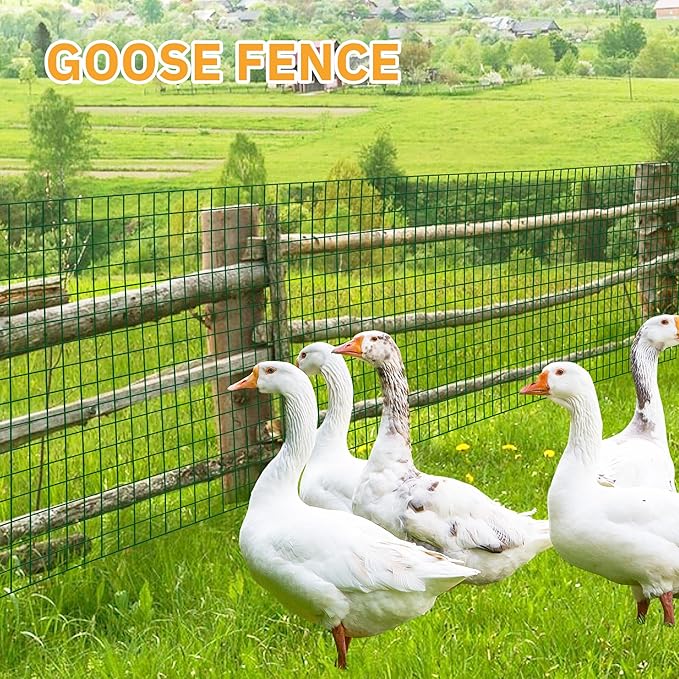 Green Metal Garden Fence, 72inch(H) x 50ft(L), 2 inch x 4 inch,12.5GA 2/3/4/5/6 Ft Tall Chicken Wire PVC Coated Welded Wire Mesh Roll for Dogs Border Yard Vegetable Plant Protection Poultry Netting