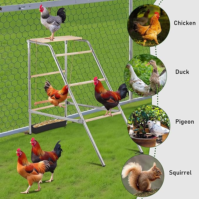 Chicken Roosting Perch and Bars with Leg Bands for Coop - Perfect for Backyard & Farm Poultry Hens, Chicken Run, Easy to Assemble and Clean