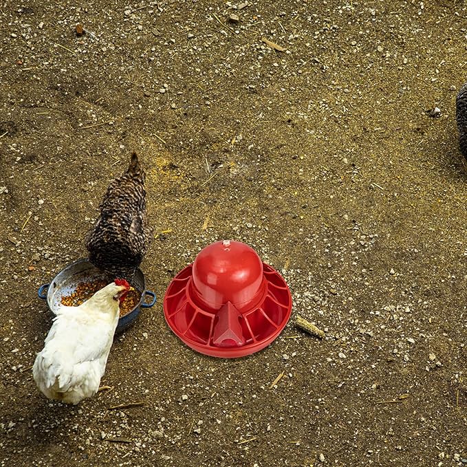 3pcs Automatic Poultry Waterer Chick Water Dispenser for Farm and Home Use Easy to Refill Clean for Chickens Quail and Small Birds