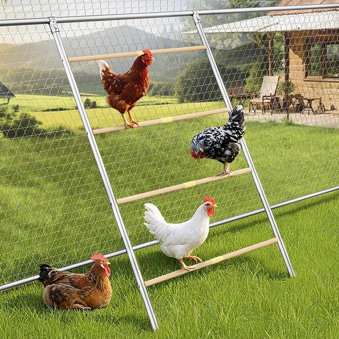 Stainless Steel Chicken Roosting Bars for Coop, 55" L x 31" W Roosting Bars for Chickens in Coop, Chicken Ladder Toys, Farm Chicken Coop Accessories for Backyard Poultry, Chicks