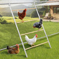 Stainless Steel Chicken Roosting Bars for Coop, 55" L x 31" W Roosting Bars for Chickens in Coop, Chicken Ladder Toys, Farm Chicken Coop Accessories for Backyard Poultry, Chicks