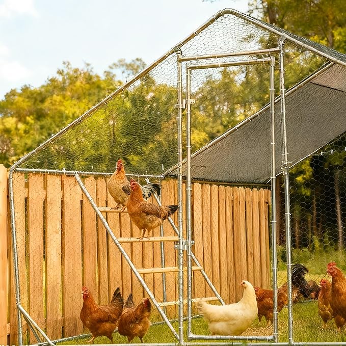 Chicken Perch for Coop, 41" W x 55" L, Chicken Roosting Bars, Toys Roost Ladder for Backyard Poultry, Funny Chicken Coop Accessories