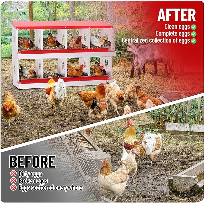 8-Compartment Metal Chicken Nesting Box - with Perch, Secure Lid & Metal Legs, Wall-Mount or Free-Standing Nesting Boxes for Hens