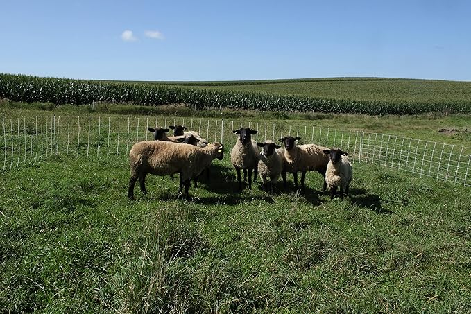 Starkline All-Purpose Sheep and Goat Netting AC Electric Fence Kit - 42" H x 82'L Electric Fence for Goats, Sheep, Gardens, Beehives, Dogs, and More in Backyards, Homesteads, Farms and Ranches