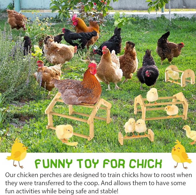 Bamboo Chicken Perch Set(4 Pack), Strong Roosting Bar for coop and brooder, Training Perch for Large Bird, Hens, Parrots, Macaw, Easy to Assemble and Clean, Fun Toys for Chicken