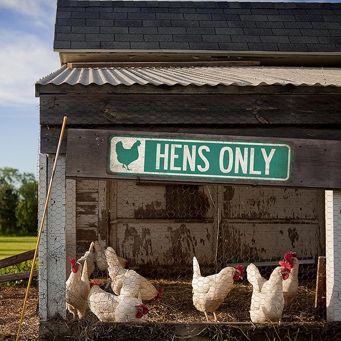 Chico Creek Signs Hen Only Chicken Coop Sign - Made In USA - Aluminum Composite 4"x18" Premium Rustic Chicken Decor Outdoor Sign
